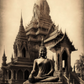 Buda Zen Life 6